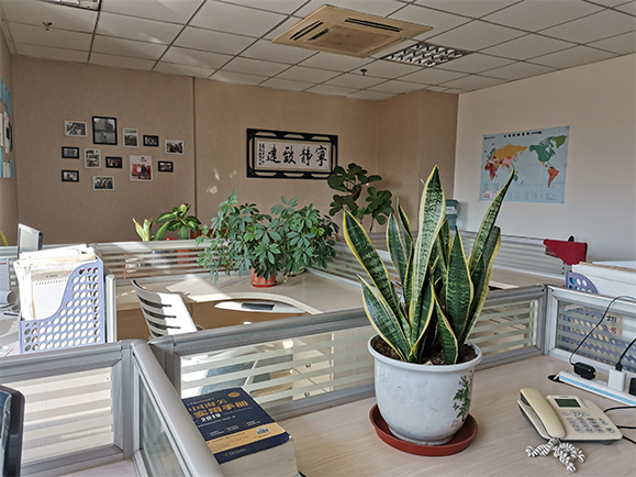 company